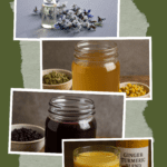 refreshing fruit and herb cordials will help you put a new spin on your old favorites.