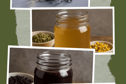 refreshing fruit and herb cordials will help you put a new spin on your old favorites.